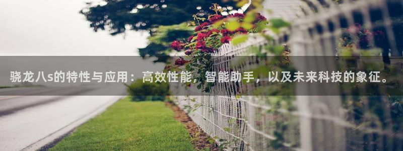壹号电子娱乐app