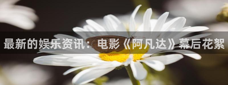 壹号电子娱乐app下载