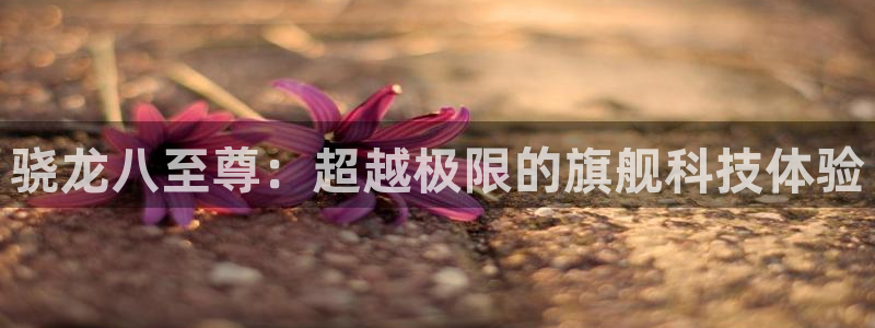 壹号大舞台有梦你就来