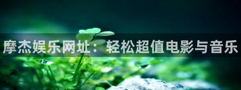 恒行app入口