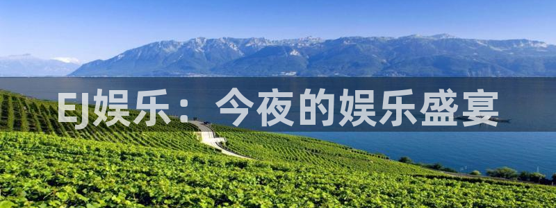 壹号app下载