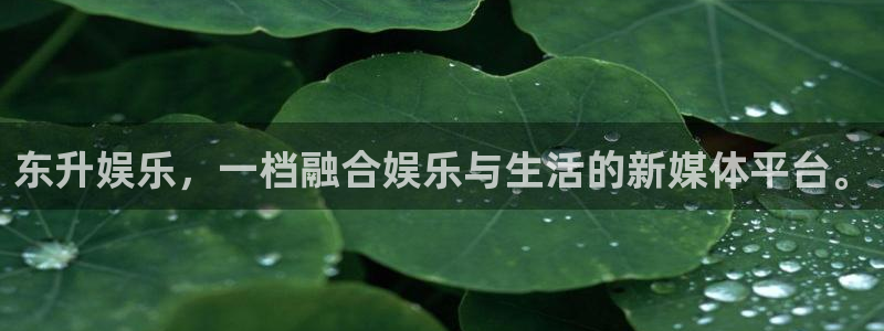壹号电子娱乐app下载最新版