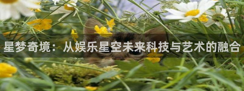 壹号大舞台娱乐app下载安装