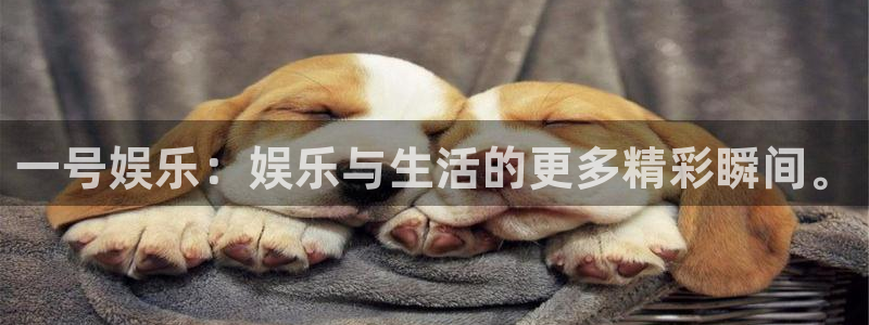 恒行app下载安装最新版