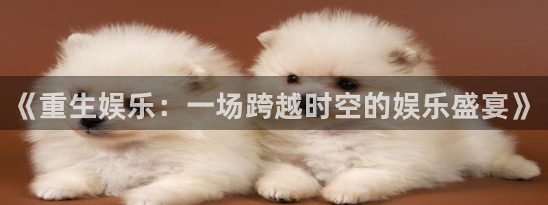 恒行强制退款流程详解