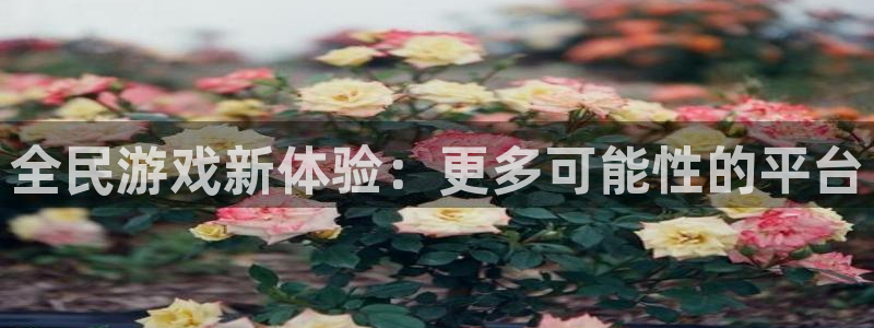 壹号大舞台官网入口