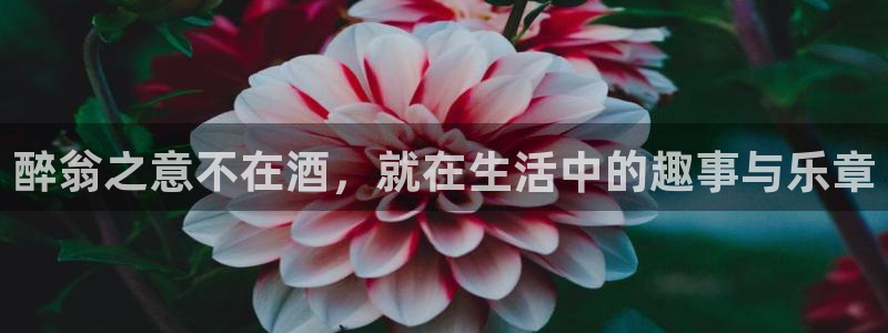 壹号大舞台怎么下载