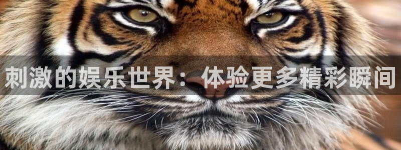 恒行充值怎么退款