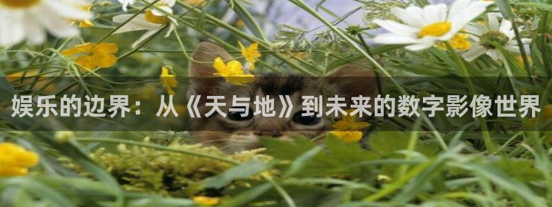 壹号官网app下载安装