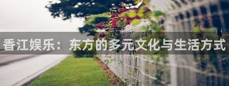 壹号国际app免费下载安装
