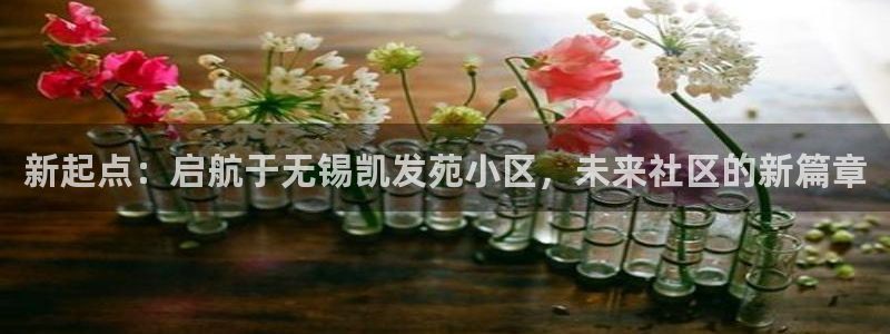 恒行app下载安装：新起点：启航于无锡凯发苑小区，未来社区的新篇章
